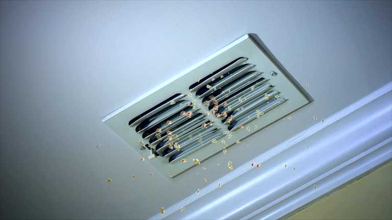 HVAC System Cleaning in WV
