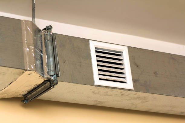 Best Air Duct Mold Removal  in Bethany, WV